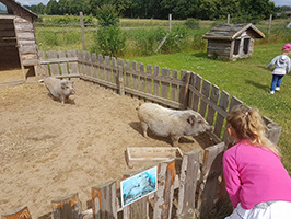 Przedszkole w Bąkowie